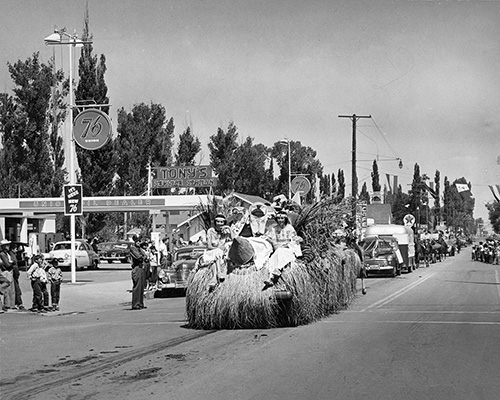 harvest festival